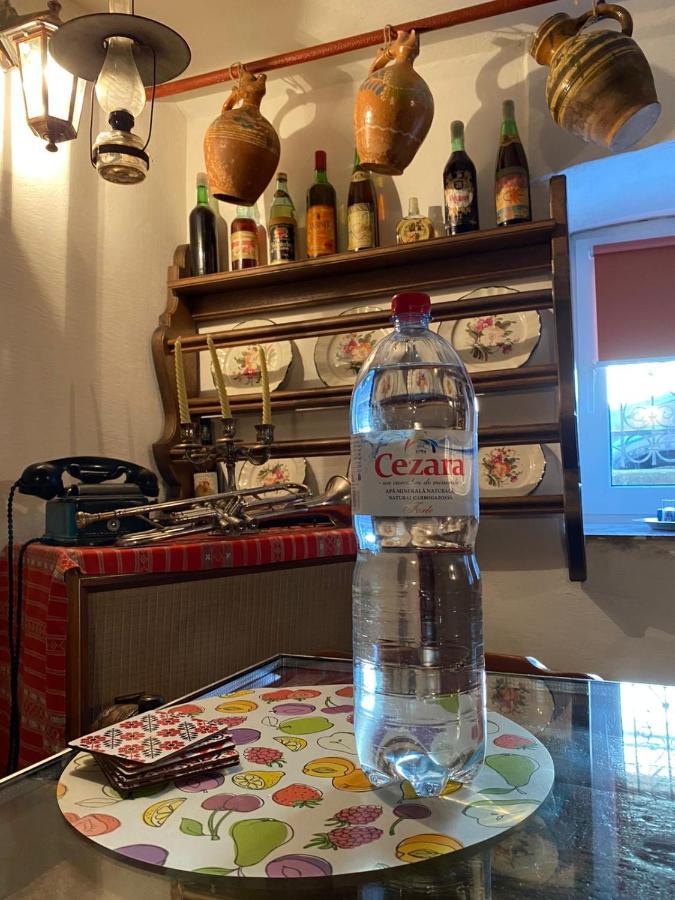 Casa Cezara Apartment Silvasu de Jos Ngoại thất bức ảnh