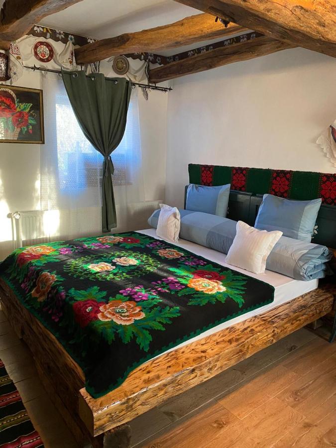 Casa Cezara Apartment Silvasu de Jos Ngoại thất bức ảnh