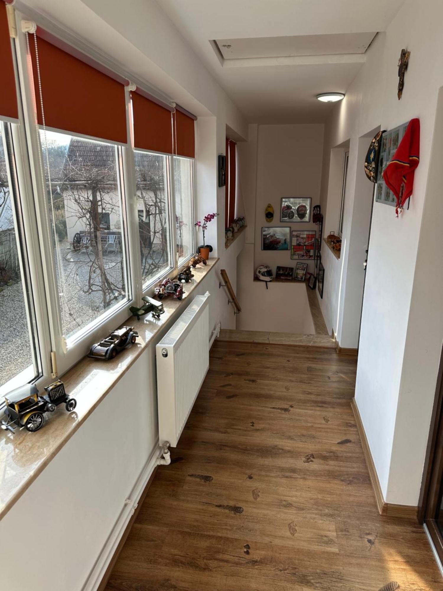 Casa Cezara Apartment Silvasu de Jos Ngoại thất bức ảnh