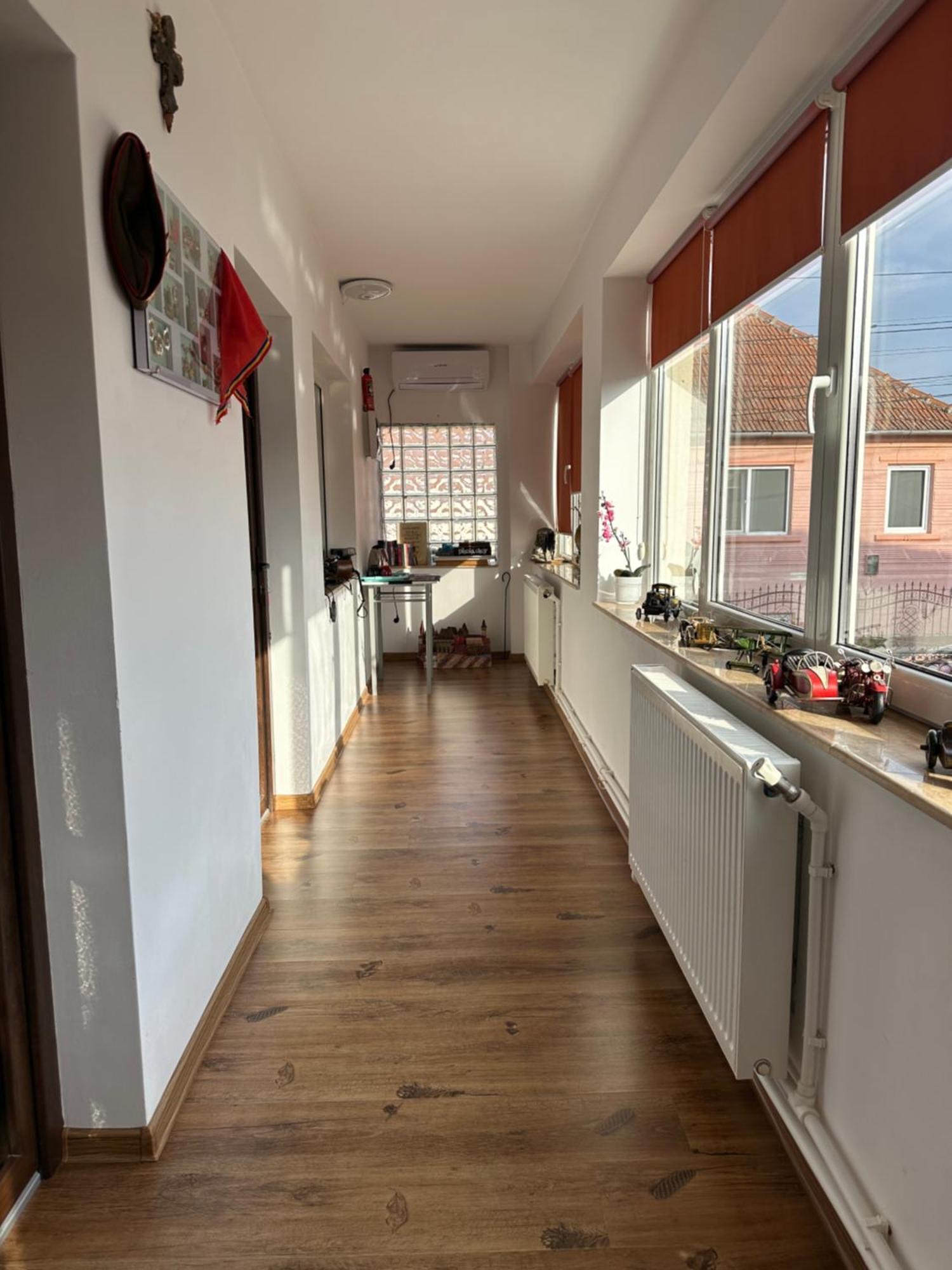 Casa Cezara Apartment Silvasu de Jos Ngoại thất bức ảnh